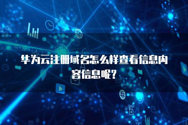 注册域名怎么样查看信息内容信息呢?